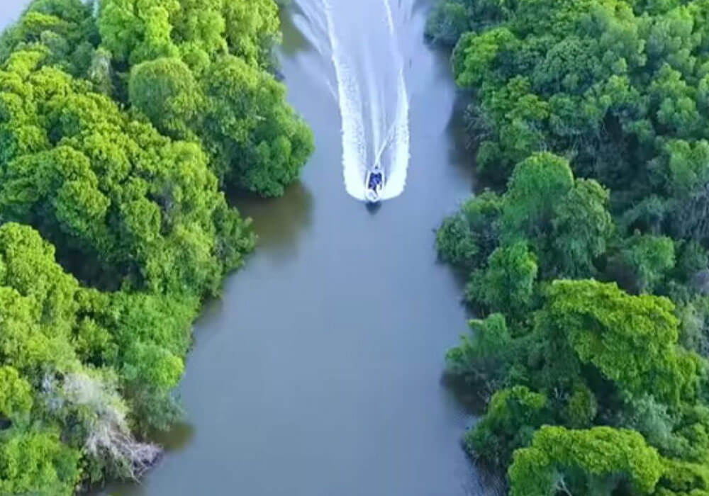 Take a boat tour on the Negombo Lagoon and Dutch Canal